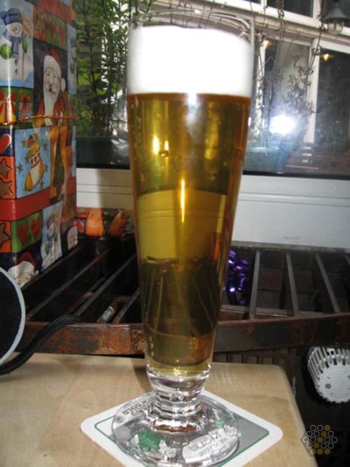 Ruhrpott Pils